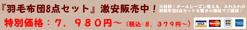 『羽毛布団8点セット』激安販売中!
